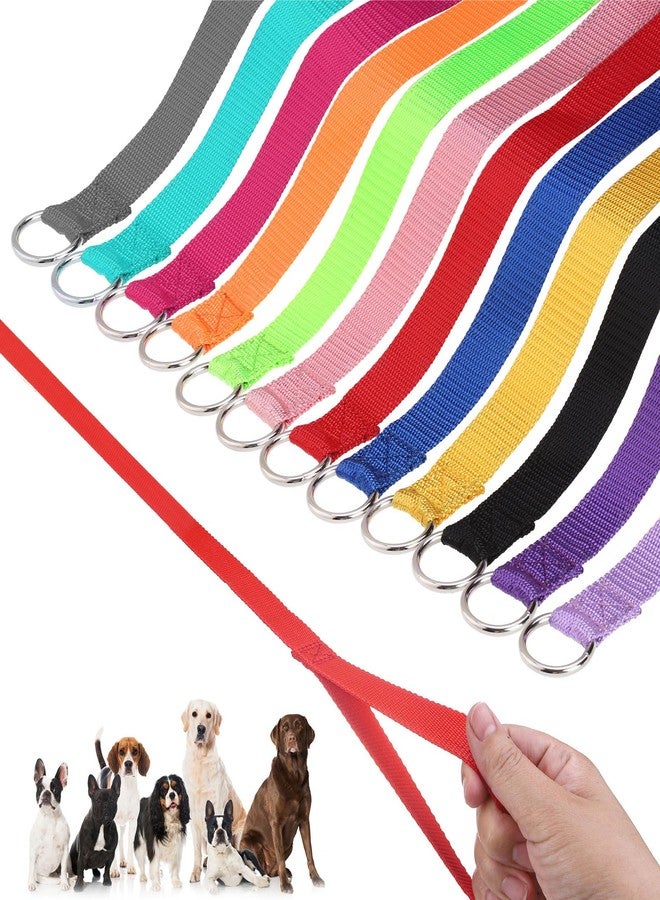 HOMIMP Slip Lead Dog Leash 6 FT- 24 PCS Bulk Colors Kennel Control Leashes for Small Medium Large Dogs Puppy Animal Rescue, Grooming - Heavy Duty Strong Nylon 6 Foot Long for Shelter, Vet, Training - Image 1